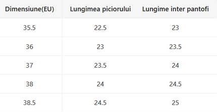 Incaltari imblanite dama